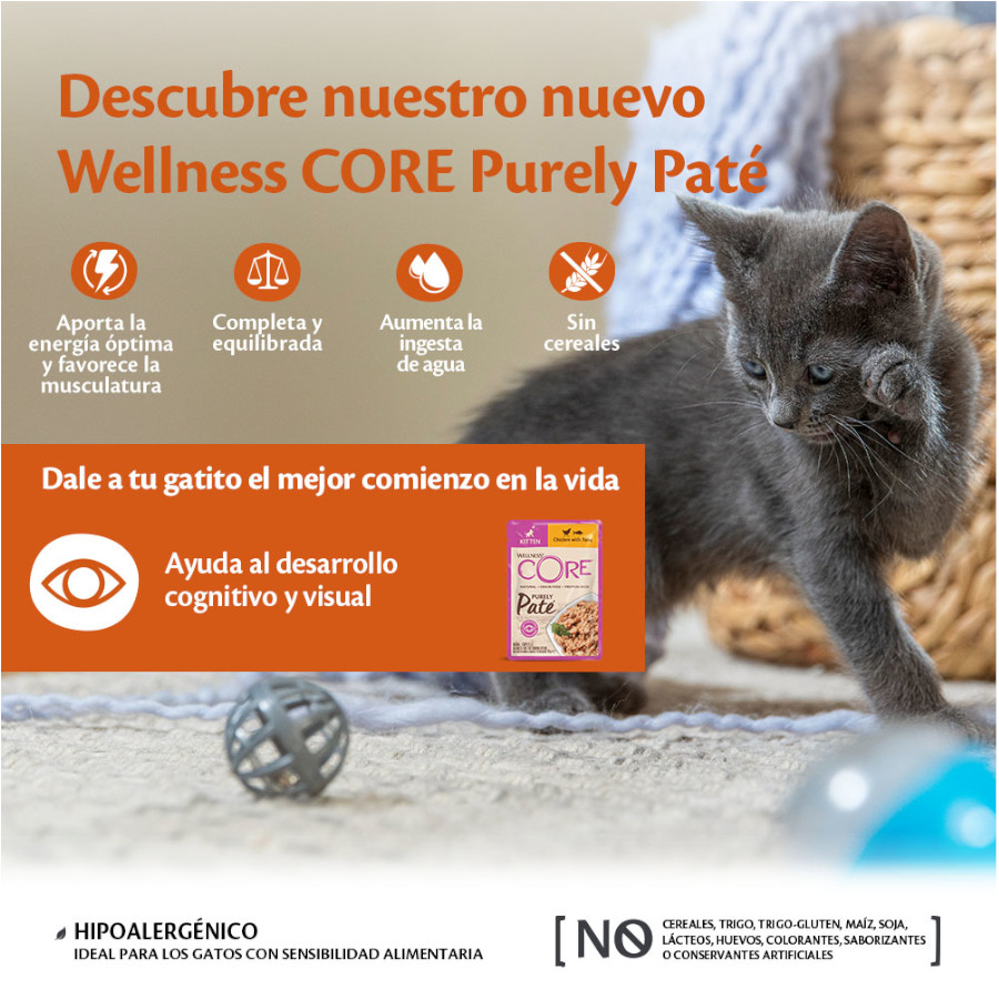 Sachê de 85g de Patê de Frango Wellness Core para gatinhos
