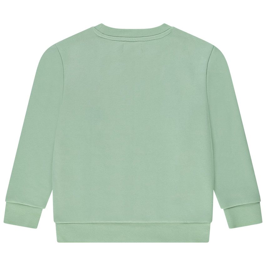 Sweat en molleton print fantaisie pour garçon - Vert