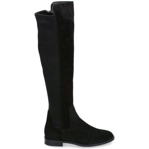 Alpe - 2645 Negro