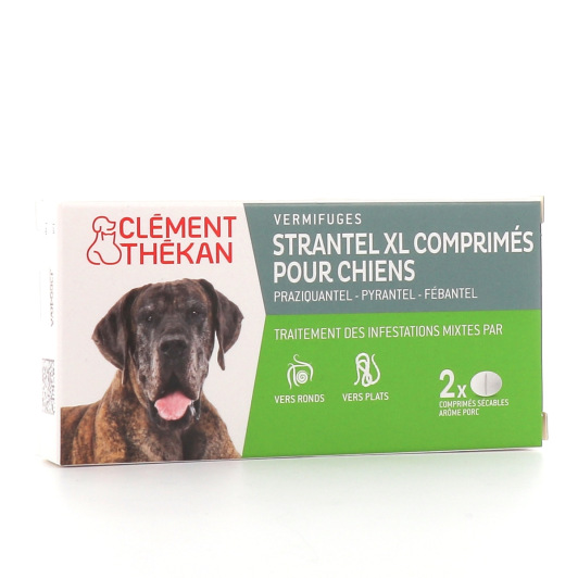 Vermifuge pour chien Strantel Clément Thékan