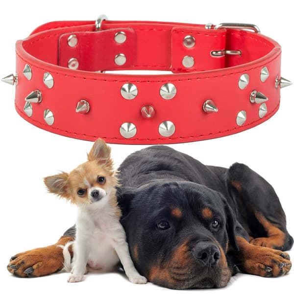 Hundhalsband med Nitar - Halsband för Katter och Hundar - XL