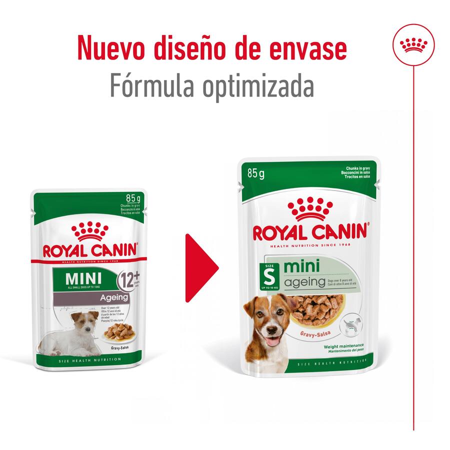 Sachês Royal Canin Mini 12+ para cães idosos em molho.