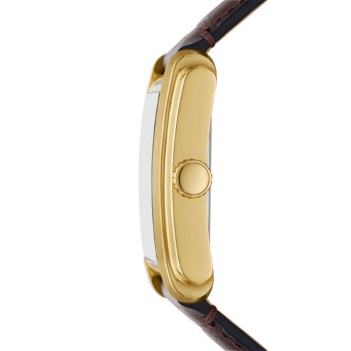 Fossil Carraway FS6011 Herreur, Guld, 30 mm