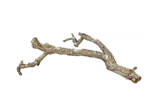 Trixie Tronchos, mixed cork-branches, natural 15 kg
