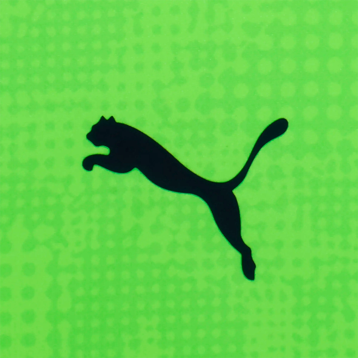 T-Shirt Puma Manchester City Training 2025-2026