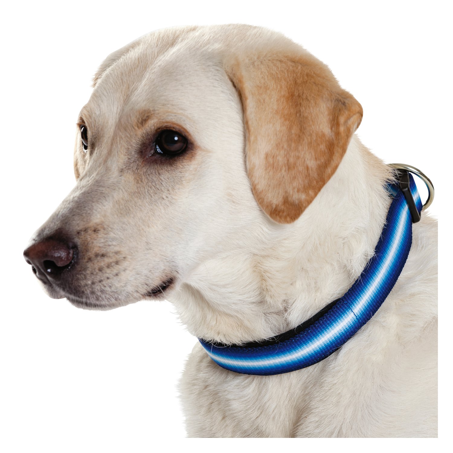 Loesdau Hundehalsband Stripe  - blue
