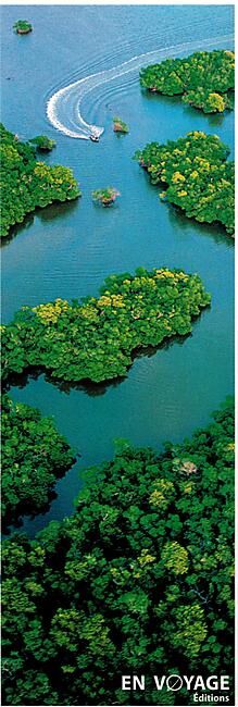 LONELY PLANET - ESSENTIEL DE LA FLORIDE EN FRANCAIS
