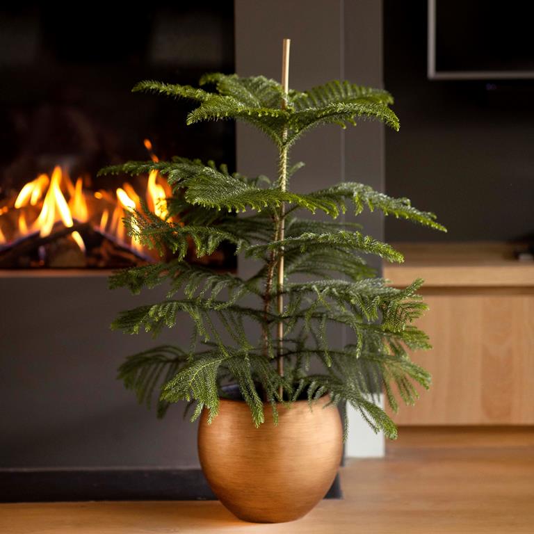 Capi Europe Groove Bloempot Ã 29 cm