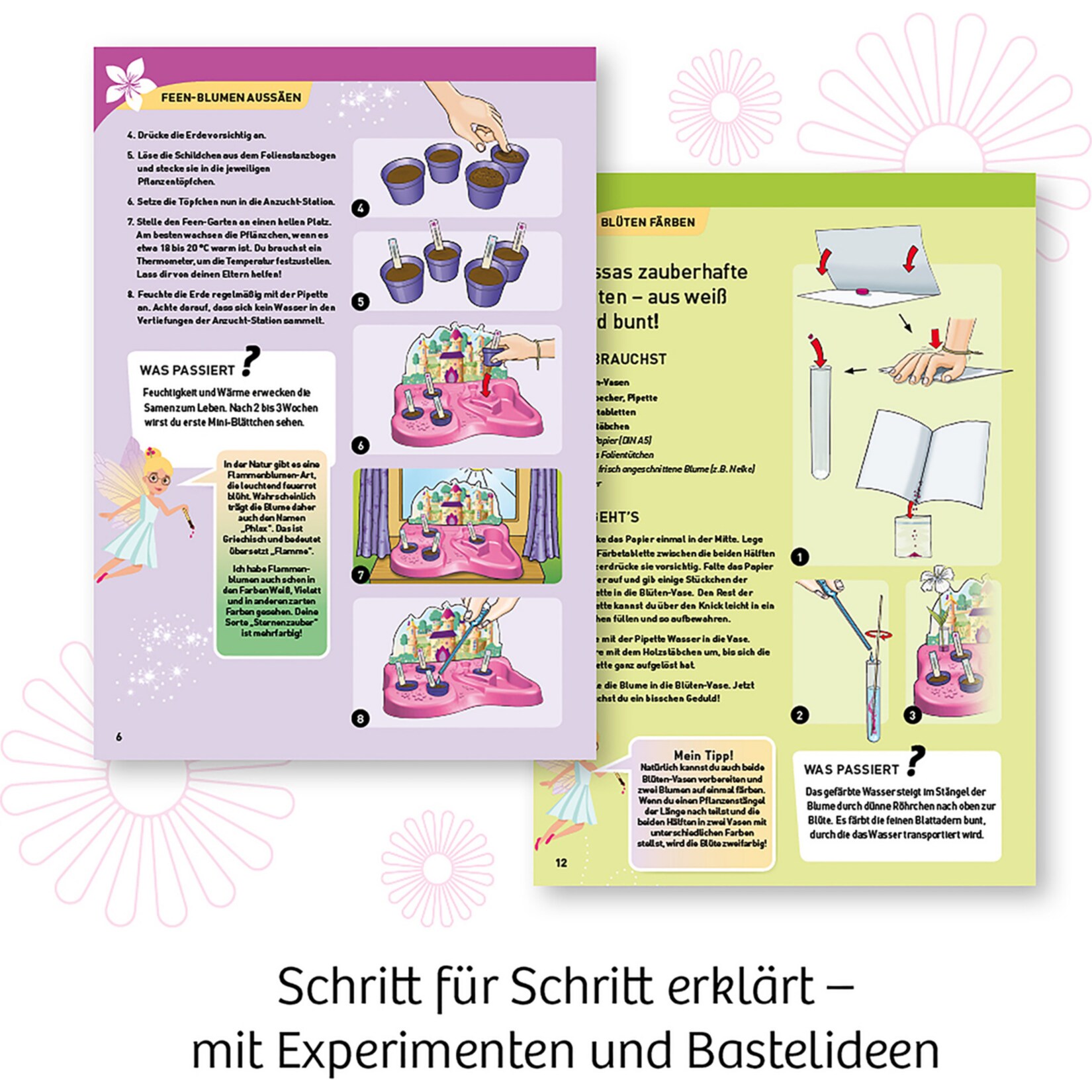 Kosmos Experimentierkasten Feen-Garten