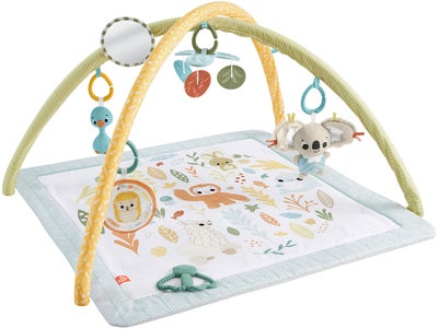 Fisher-Price Simply Senses Babygym