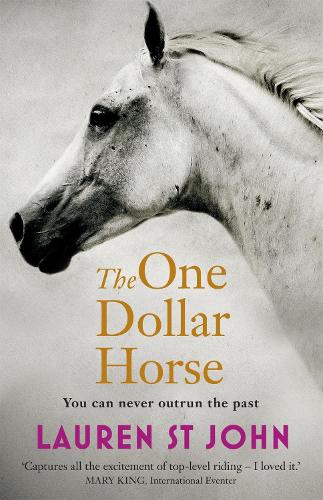 The One Dollar Horse: Book 1 - The One Dollar Horse (Paperback)
