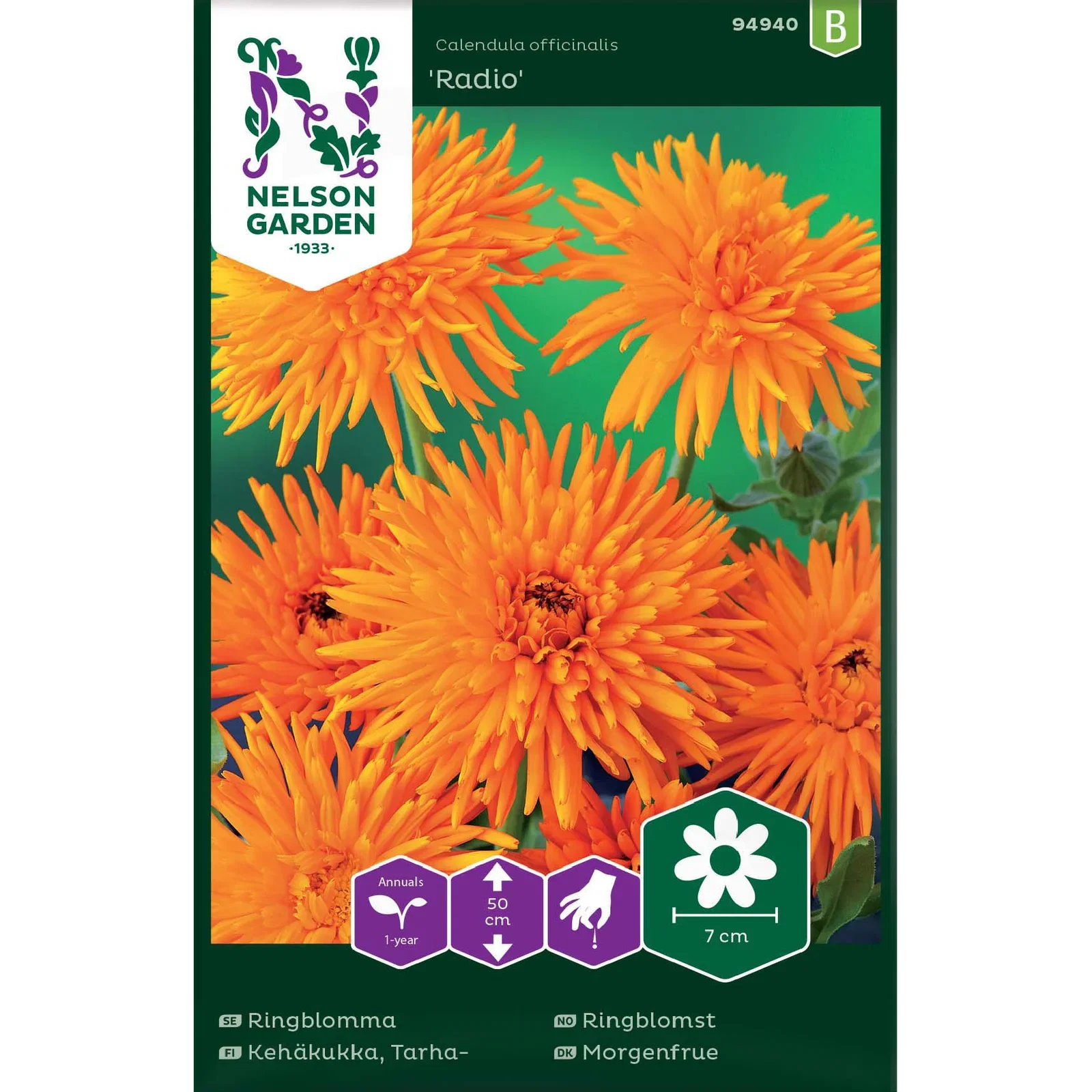 Calendula officinalis 'Radio' Ringblomst 'Radio'
