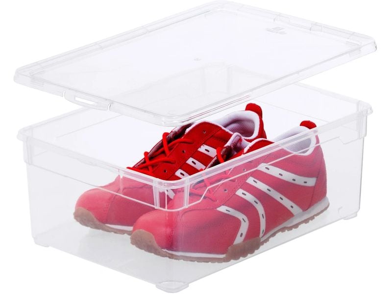 Rotho Aufbewahrungsbox Men Shoe Transparent, 3 tlg. Clear Box-Set