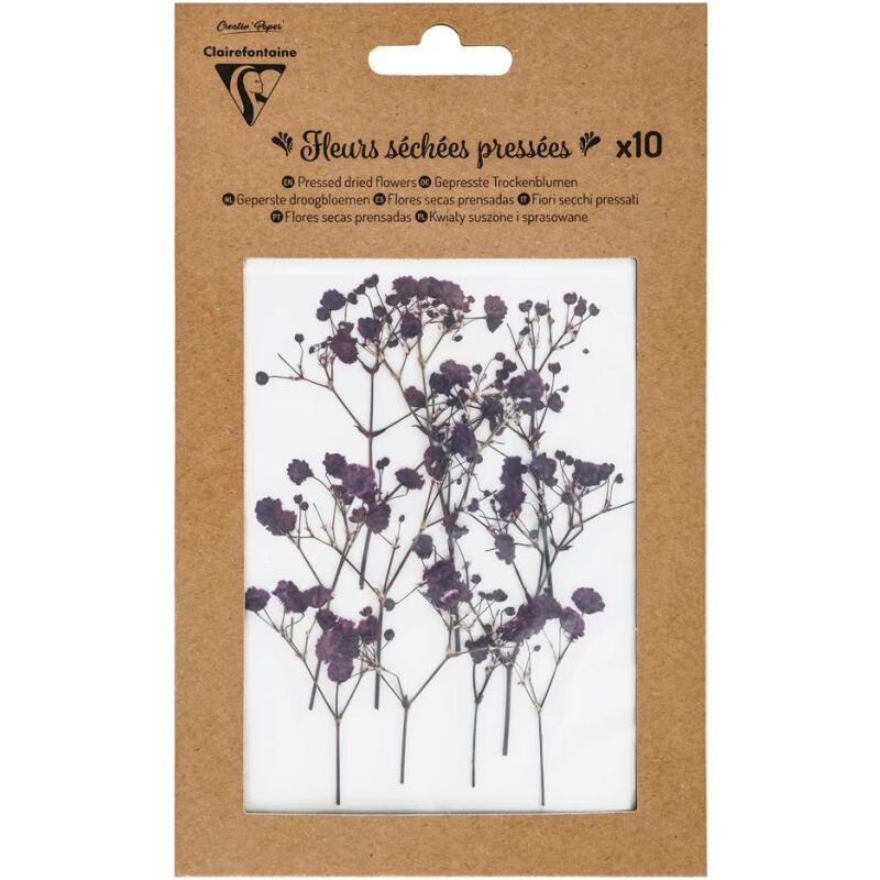 FLEURS SÉCHÉES PRÉSSÉES, Pochette de 10 pièces - Lavande