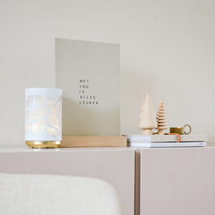 Chi Leaves Aroma Diffuser 1ST