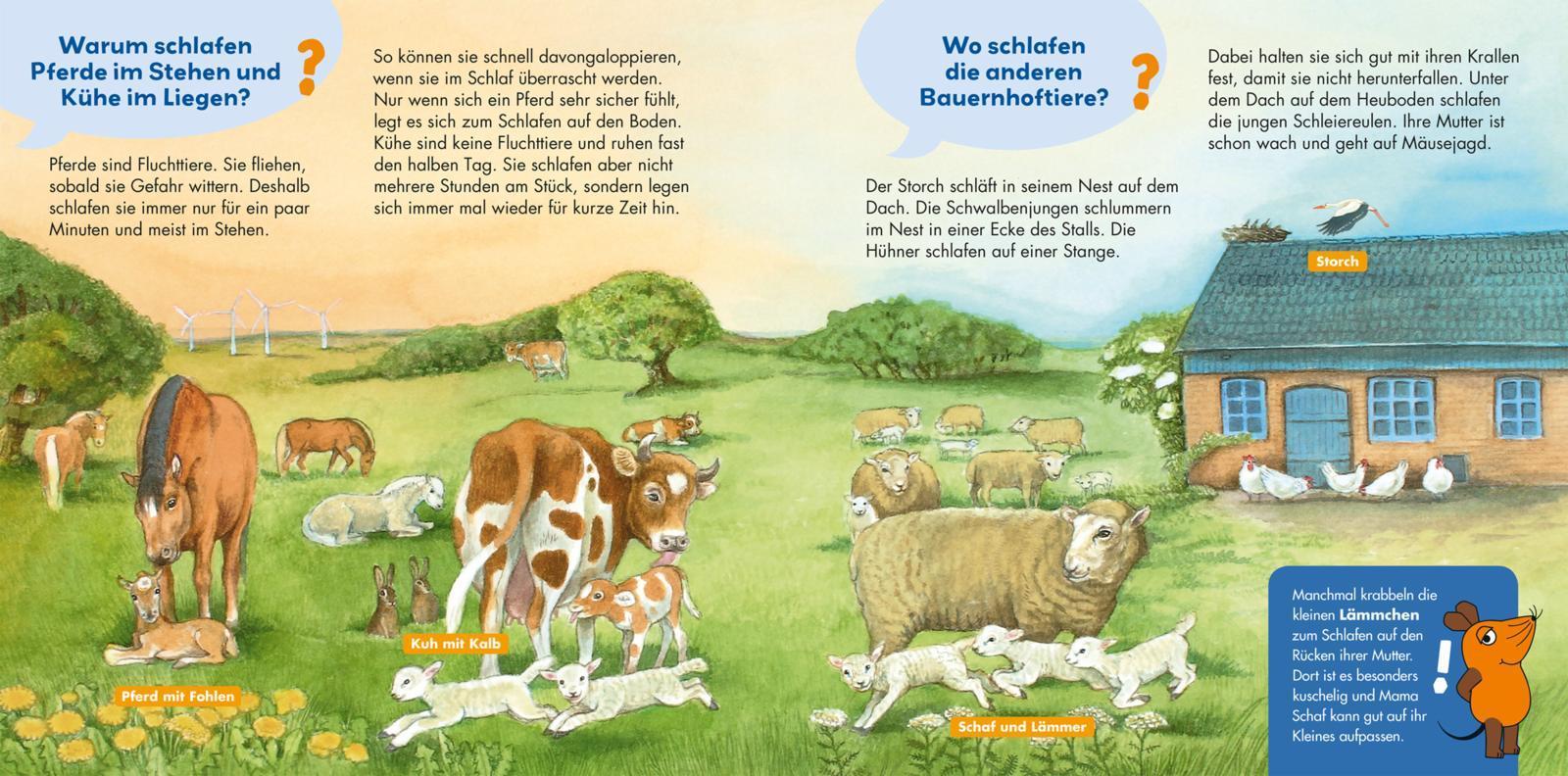 Wie schlafen die Tiere? / Frag doch mal ... die Maus! Erstes Sachwissen Bd.23