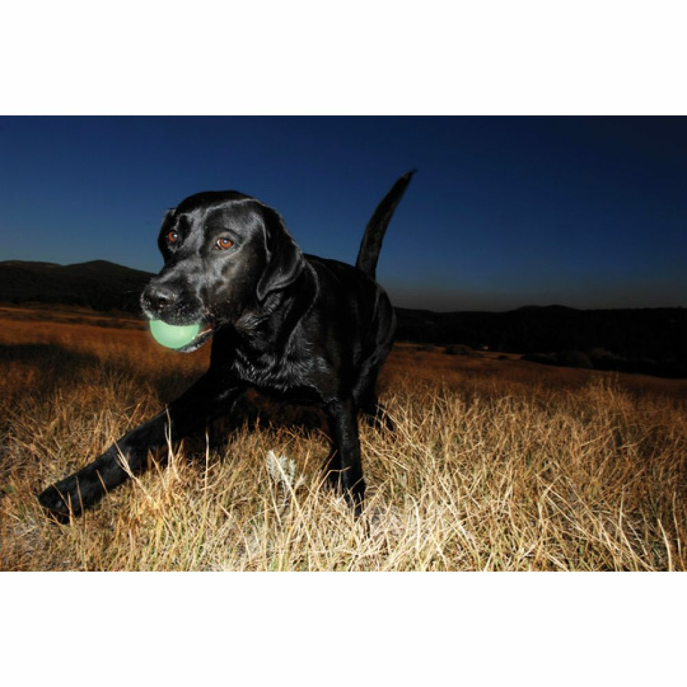 Chuckit Max Glow Ball 1 - pack Medium ø 6 cm