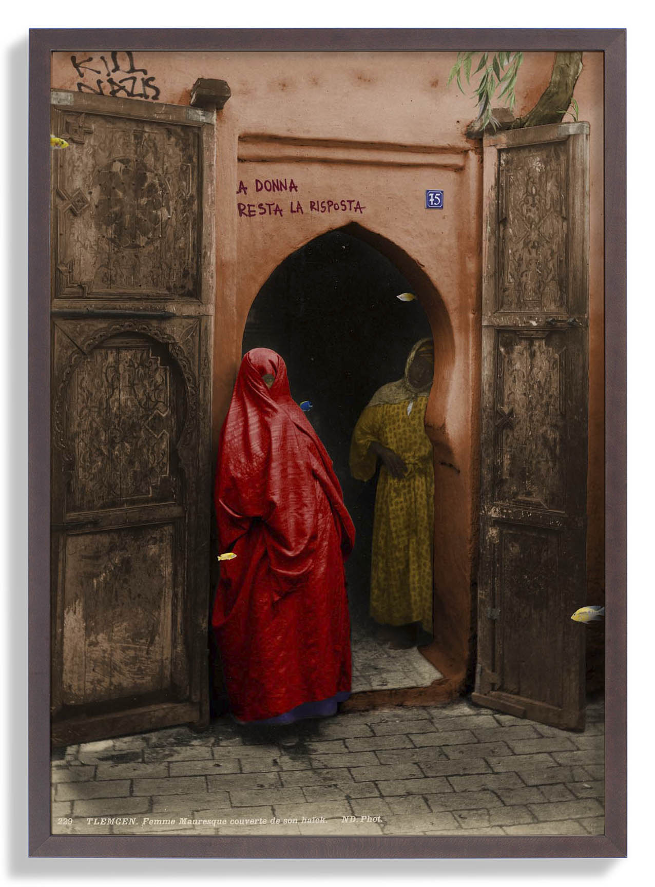 Tlemcen von corentin sauvage