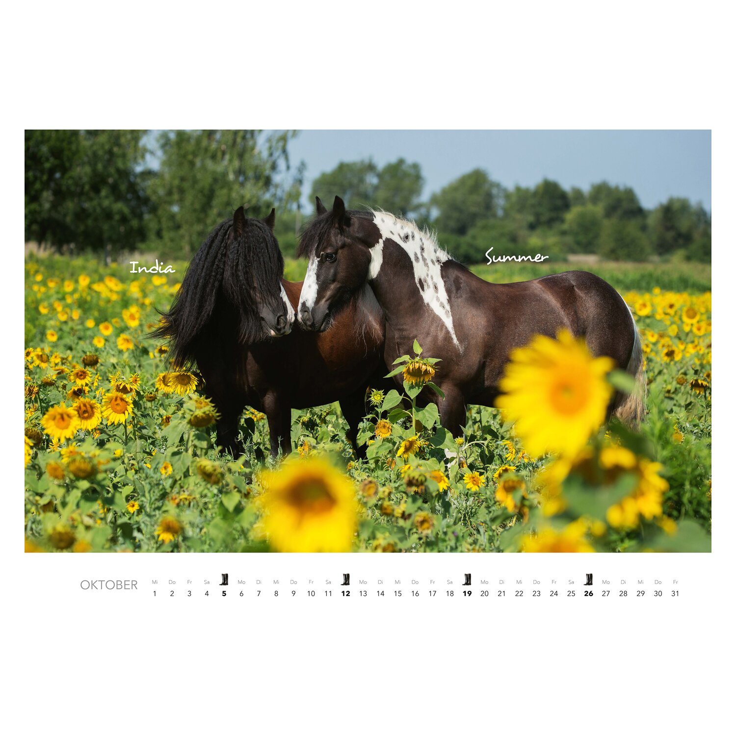 Kalender Pferde  - 2025
