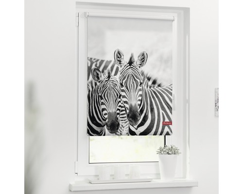 Lichtdoorzicht klemrolgordijn, geen boren nodig, Zebra 45x150 cm, inclusief klembeugels