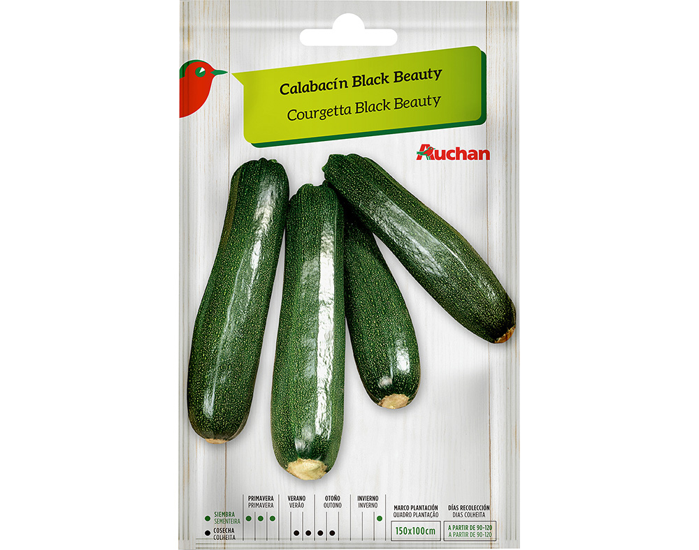SEMENTE AUCHAN COURGETTE BLACK