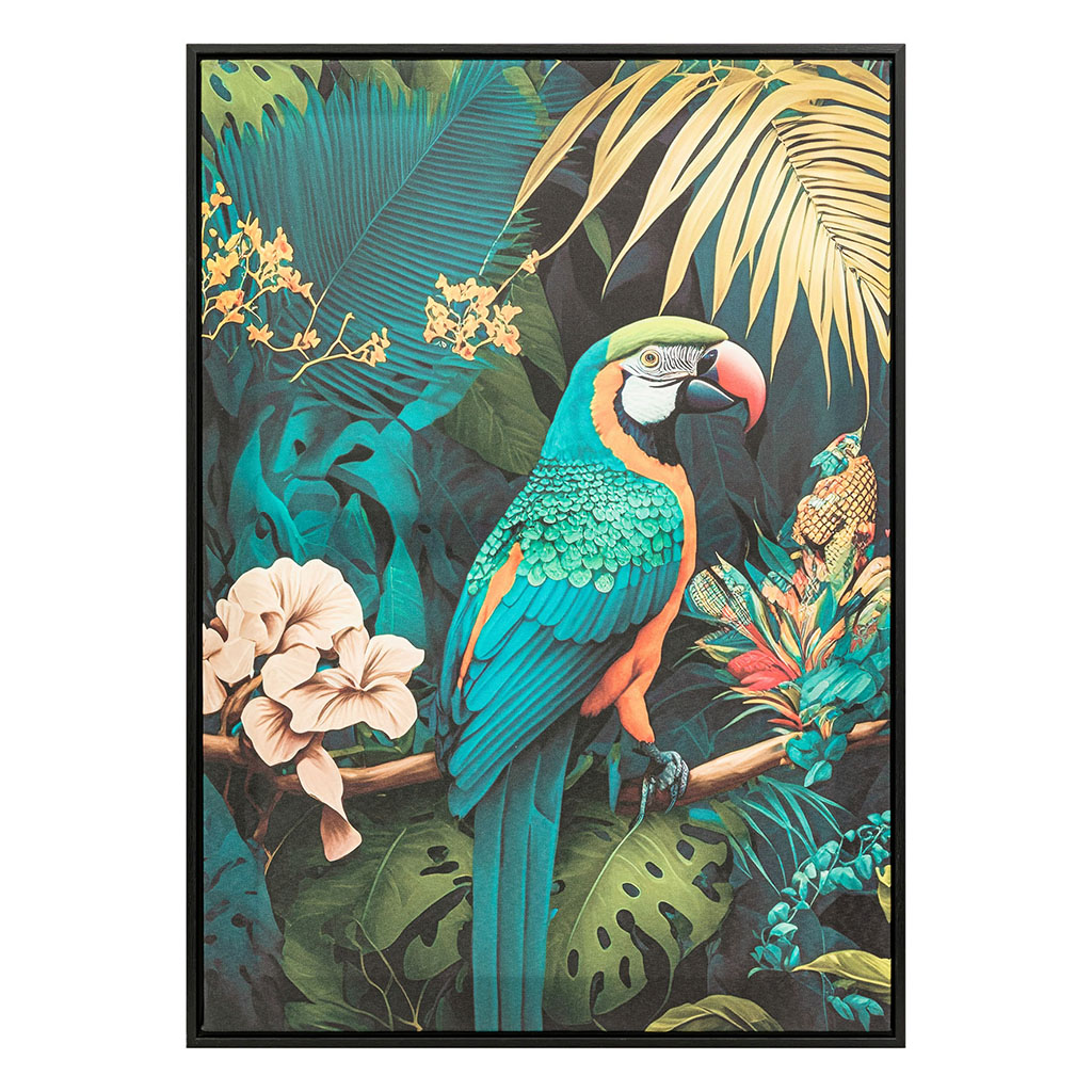Toile imprimée encadrée pérroquet 50x70cm