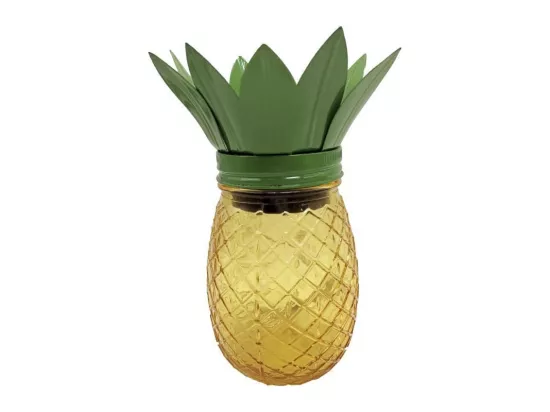 Ananas solaire - GALIX