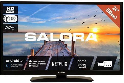 Salora MOBILE24TV tv 61 cm (24