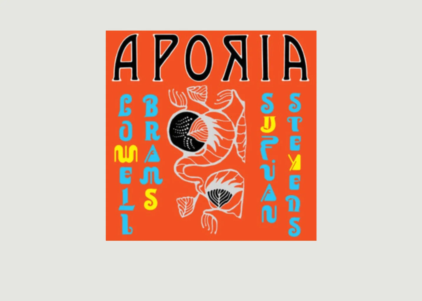Aporia - Sufjan Stevens & Lowell Brams La vinyl-thèque idéale