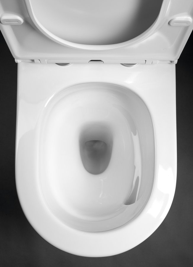 Sapho Avis staand toilet randloos met vortex spoeling en softclose zitting wit glans