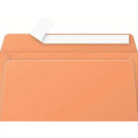 Clairefontaine Umschläge Pollen, DL 110x220mm, 120g, Clementine, 20 Stück