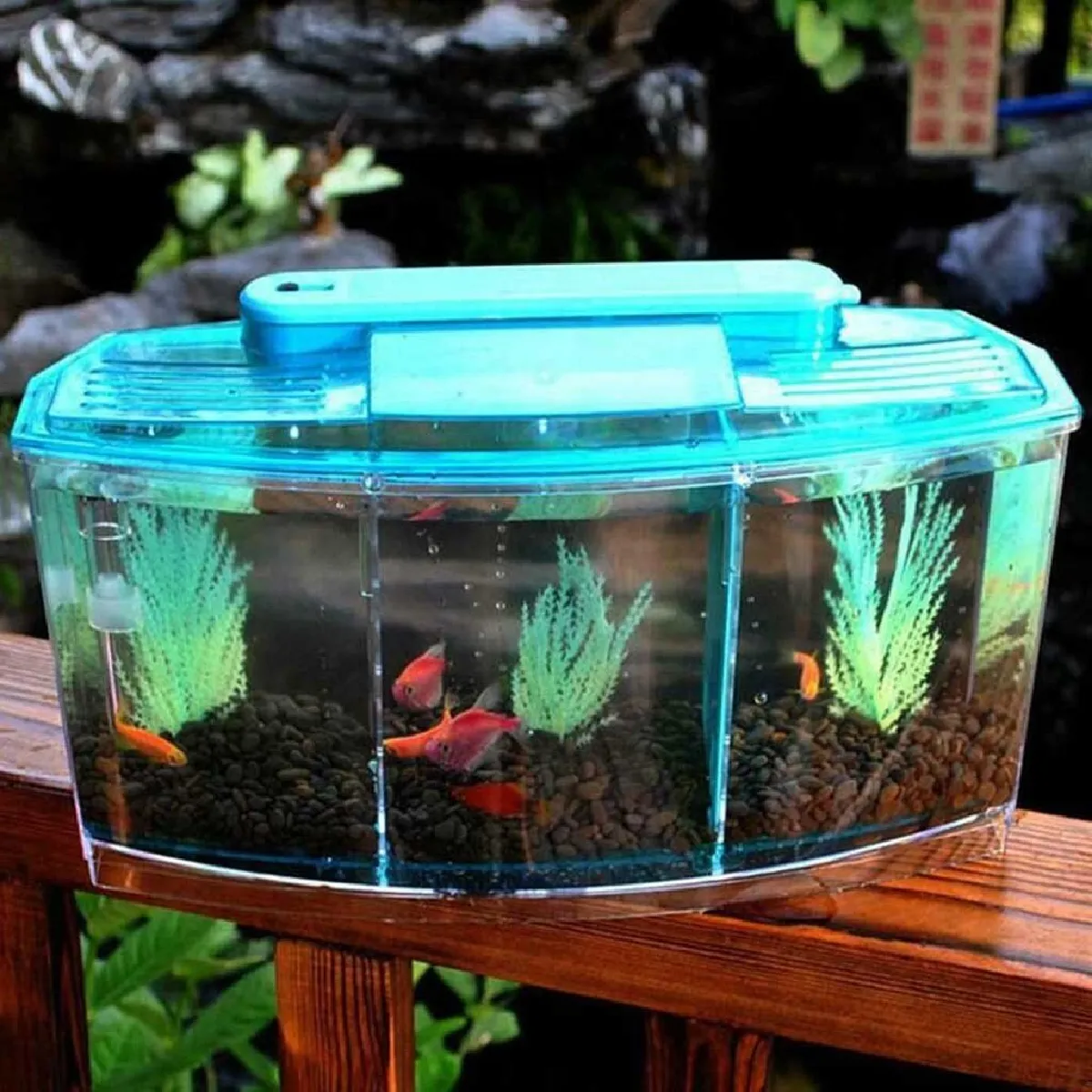 Universal Aquarium Portatif LED Multicolore
