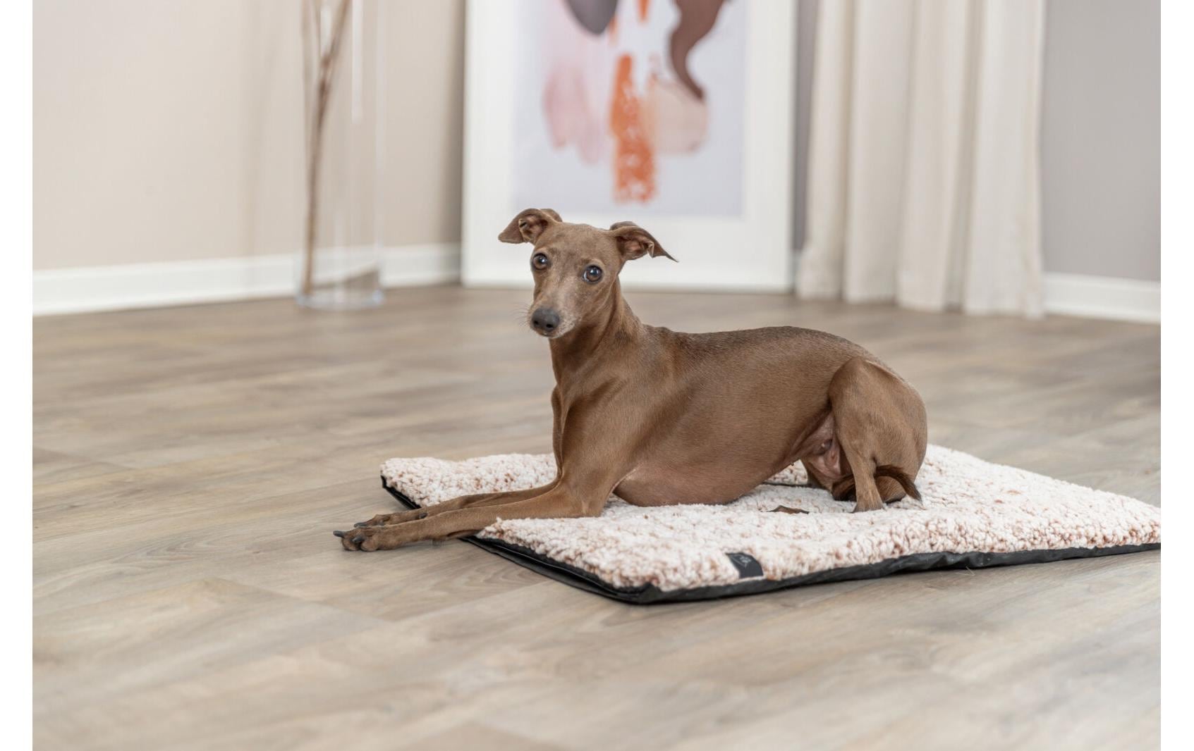 TRIXIE Hundematte