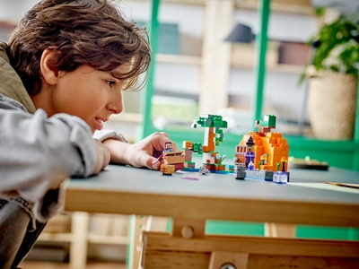 LEGO De pompoenboerderij (21248)
