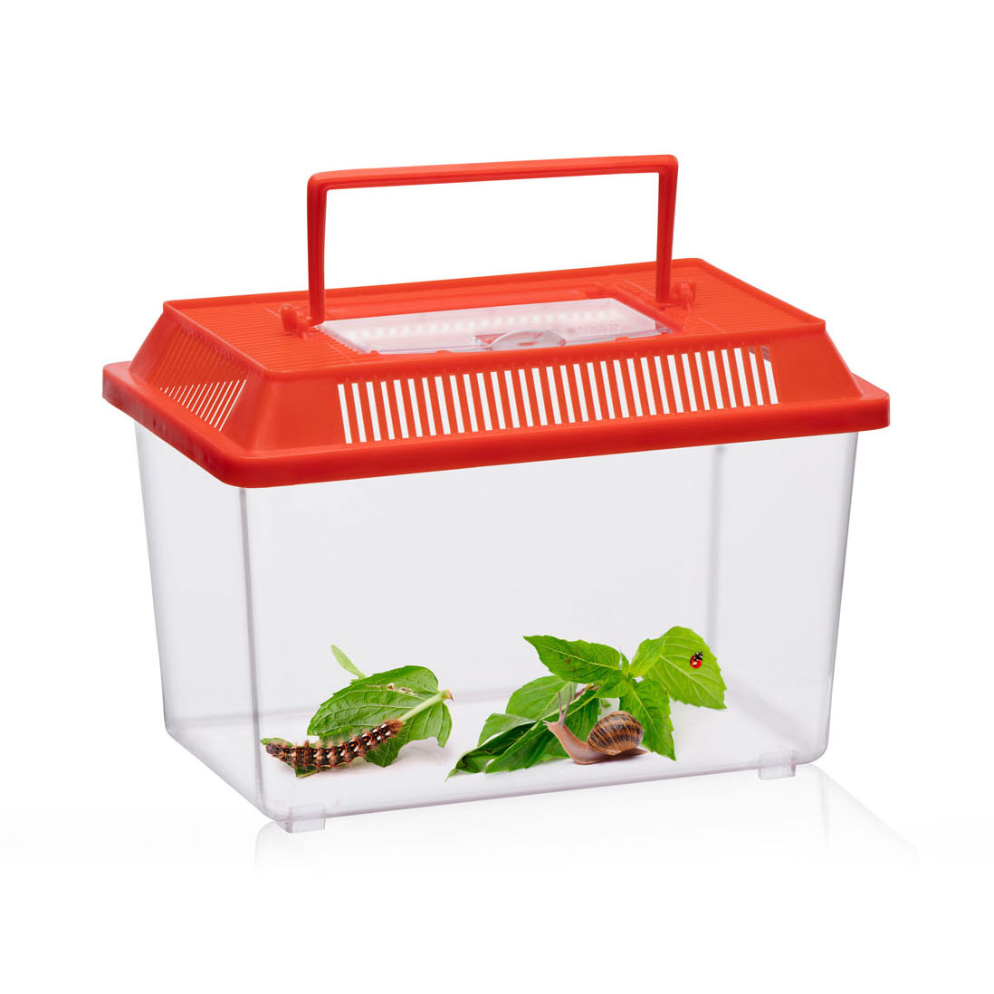 Insectenbox met Deksel