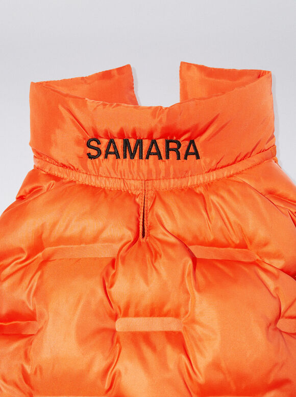 Colete personalizável para cães - Laranja