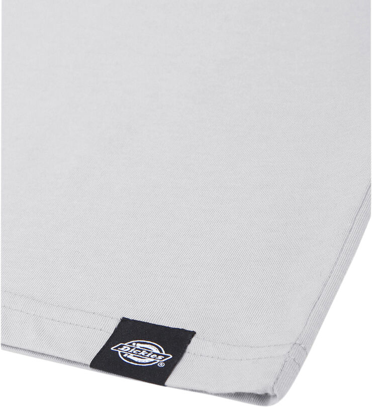 Dickies SS MAPLETON T-SHIRT GREY MELANGE Gym