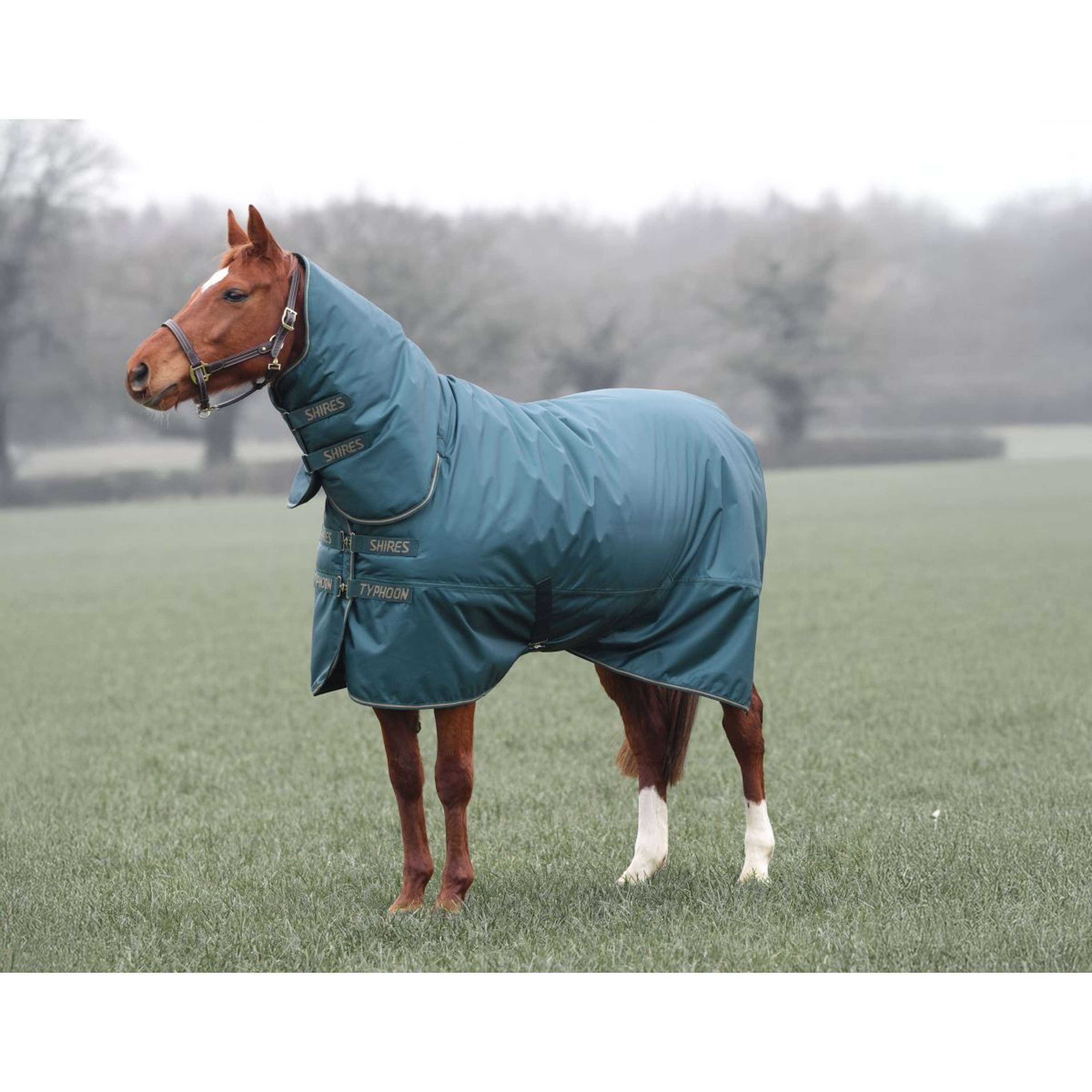 Tempest Winterdeken Turnout Typhoon Combo 200g Groen