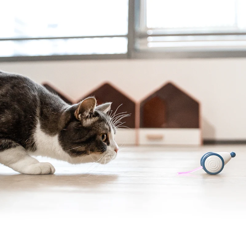 (60x50mm) Wicked Mouse Interaktives Katzen Spiel Haustier Maus Spielzeug mit LED Beleuchtung (C0821) - Weiss / Blau