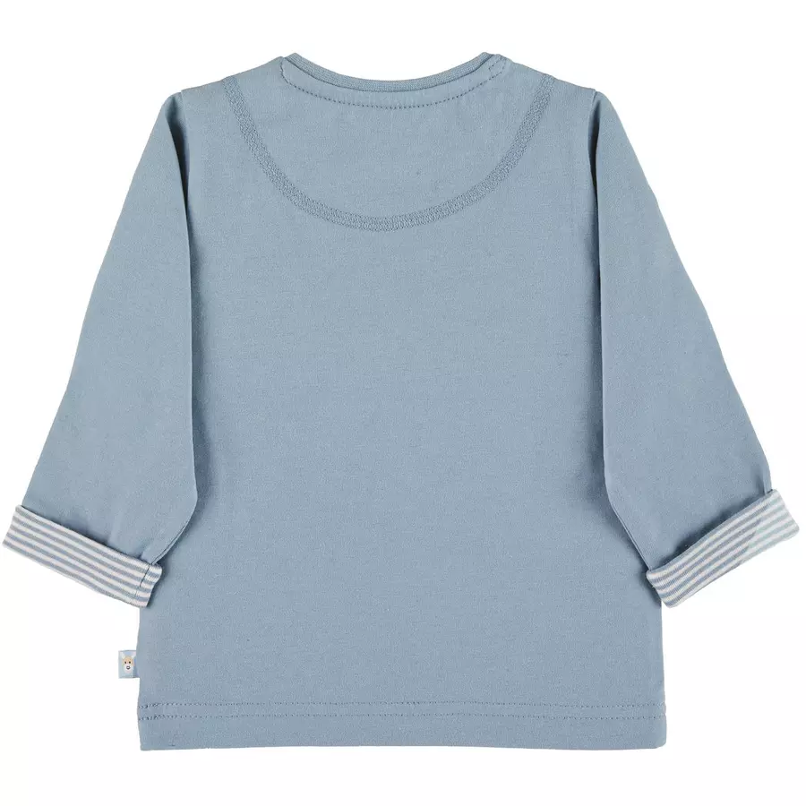 Sterntaler Langarm-Shirt Emmi hellblau