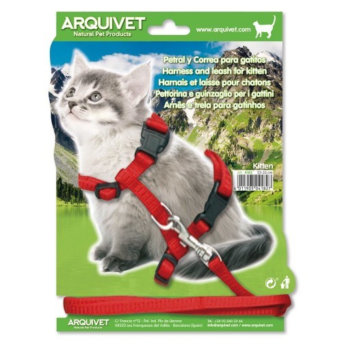 Coleira vermelha com alça para puxar para gatinhos