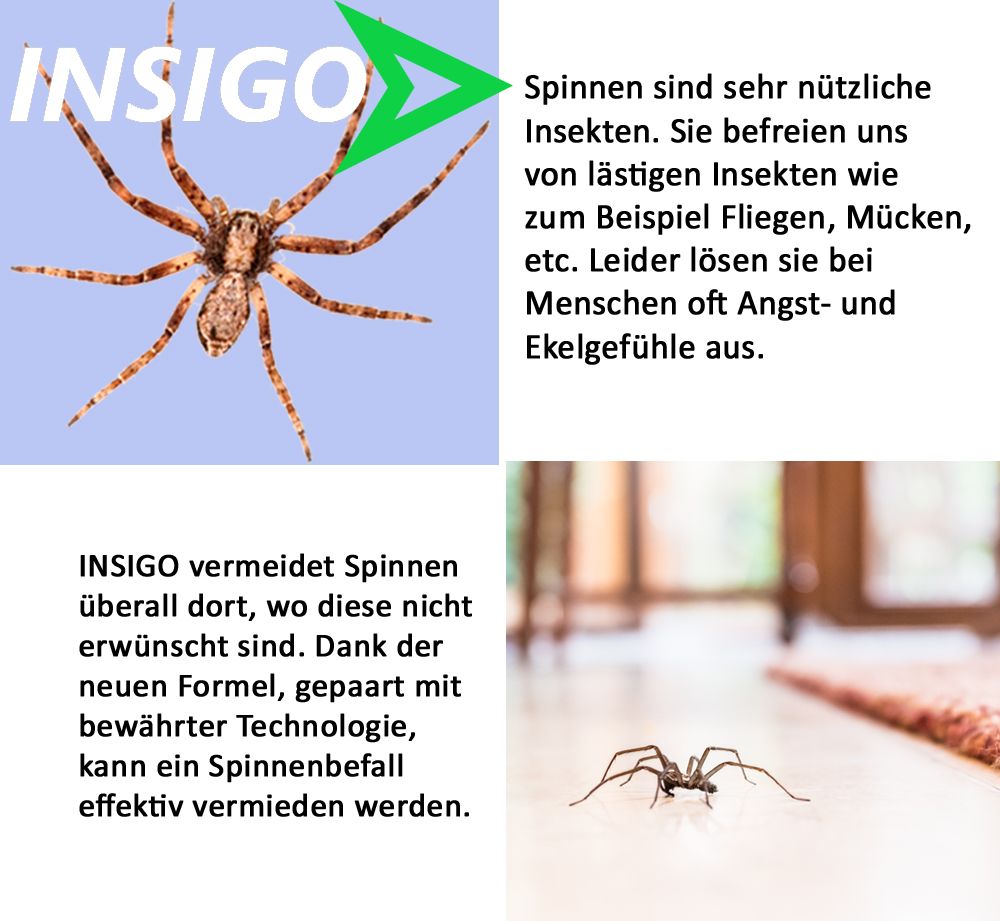 INSIGO Spinnenspray