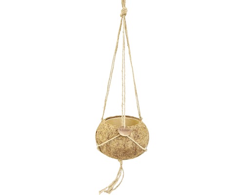 Kokodama kokosnoot hangmand Ø 17 H 9,5 cm beige