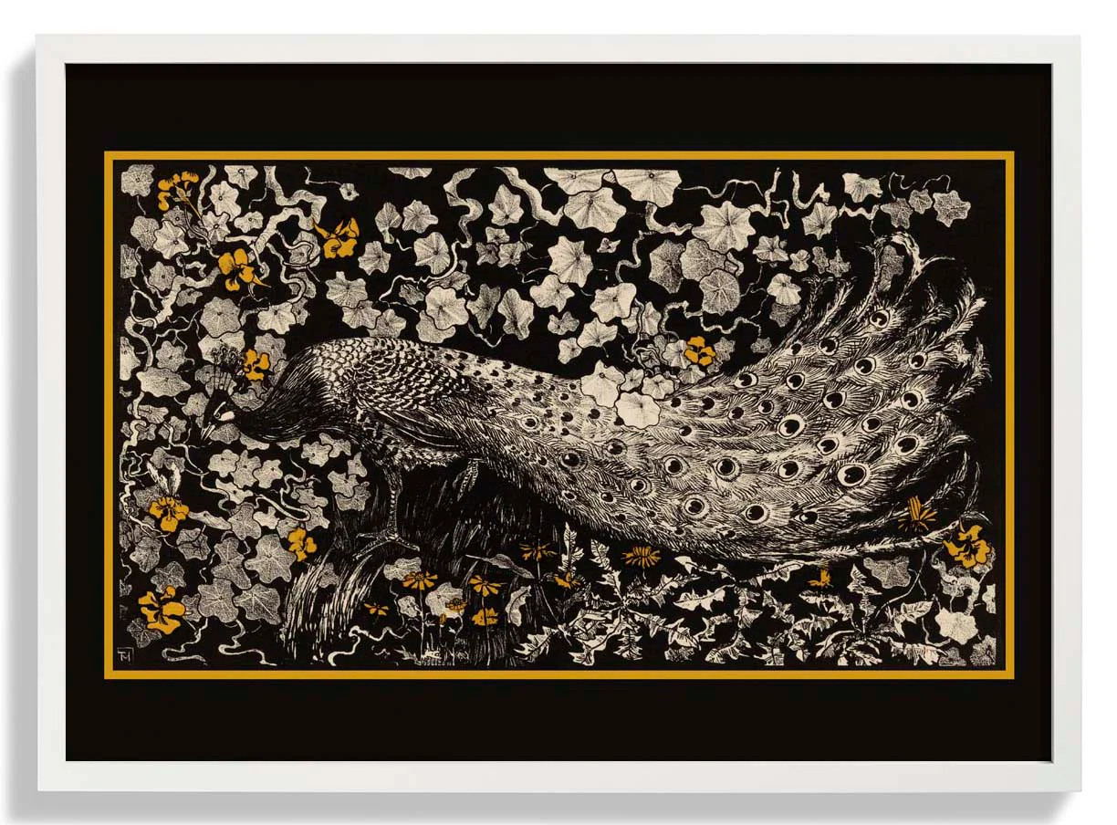 Vintage Schwarzer Pfau