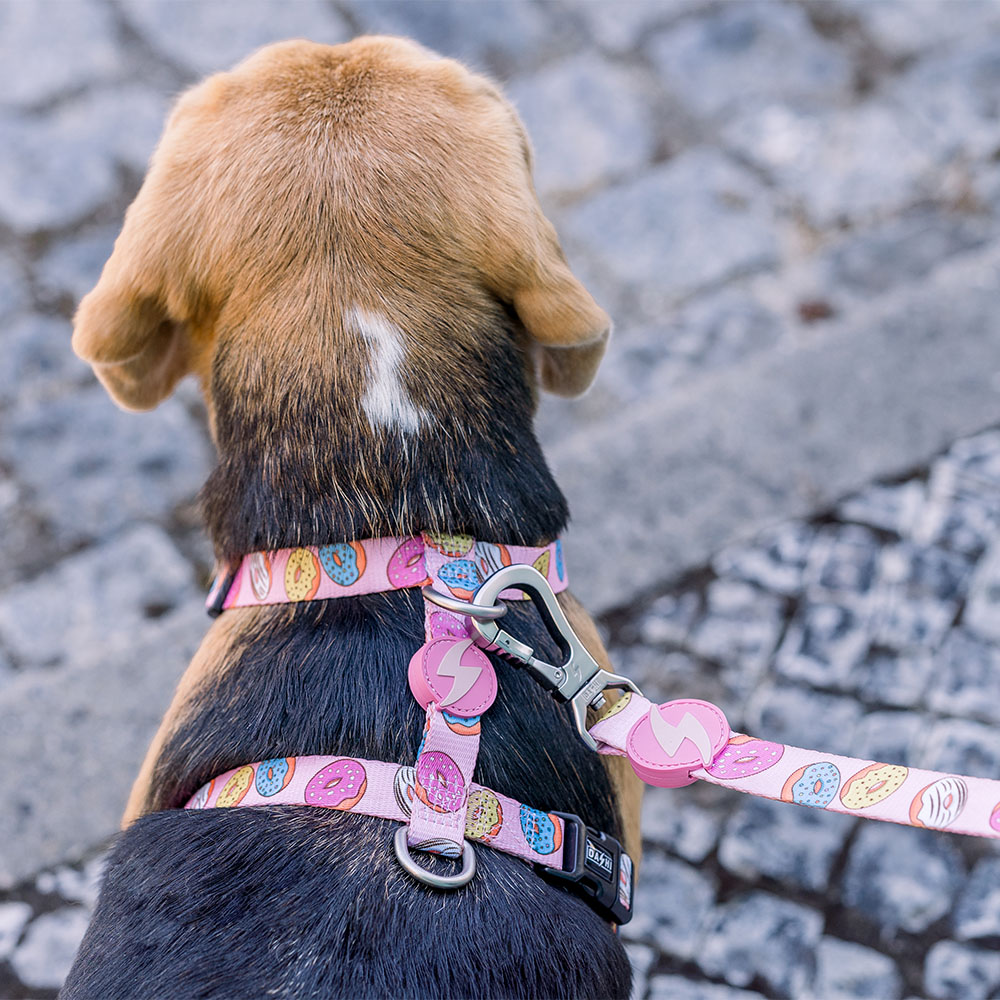 Coleira em formato de donut para cães, várias cores.