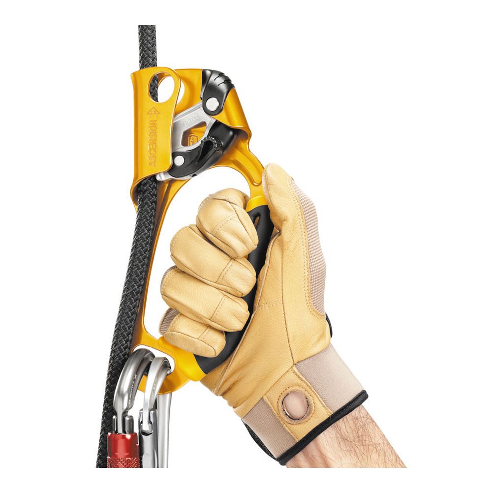 Petzl ASCENSION DROITE - Bloqueur or/noir
