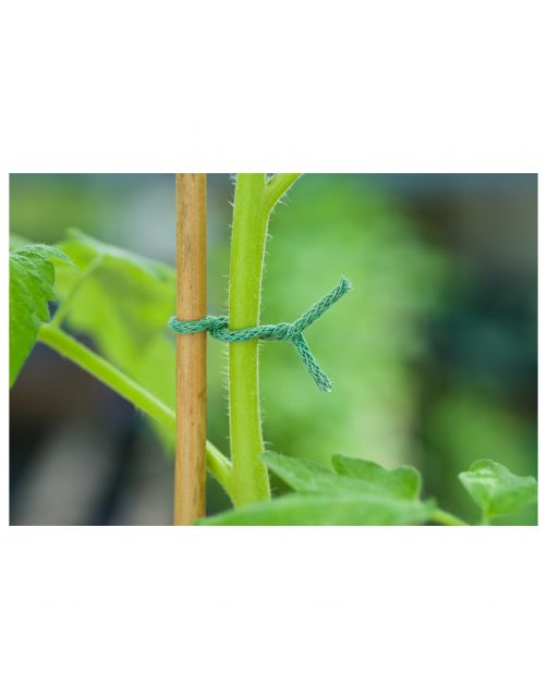 Nature Jute Bindtouw Groen Met Ijzeren Kern 5 m - Klim-En Geleide Artikel