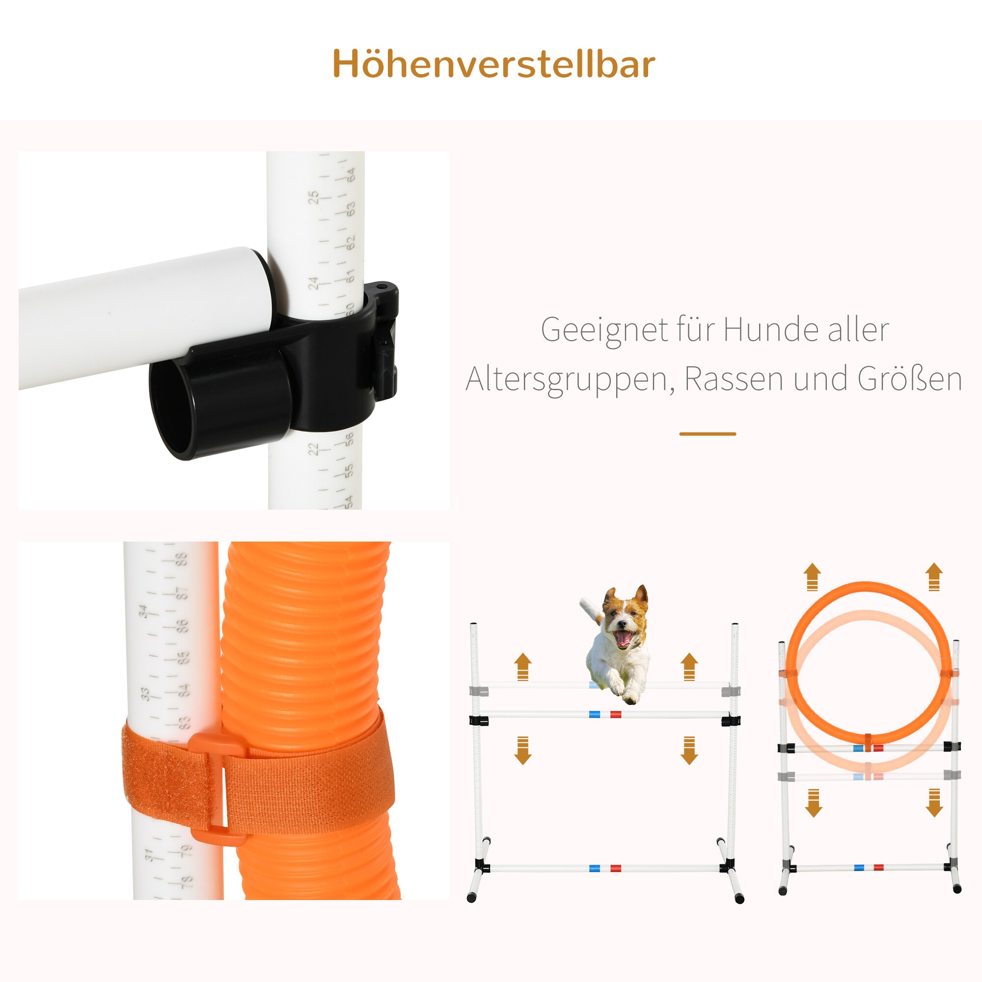 PawHut Haustier-Trainingsset inklusive Tasche weiß, gelb 328 x 65 x 94,5 cm (BxTxH)