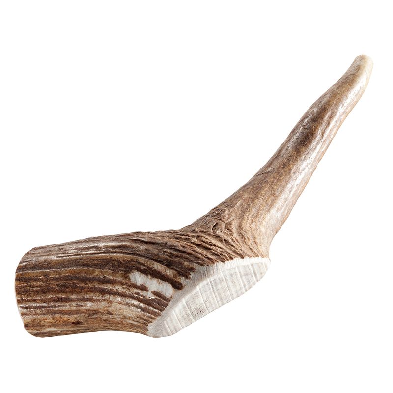 Chewies Bois de cerf