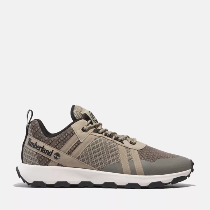 Basket basse à lacets Winsor Trail pour homme en marron clair